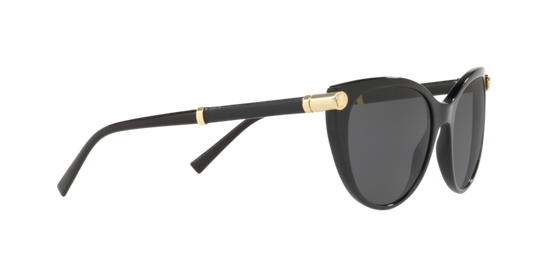 Versace Sunglasses VE4364Q BLACK