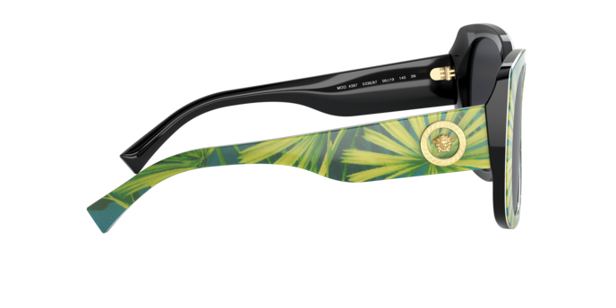 Versace Sunglasses VE4387 PRINT PALMS