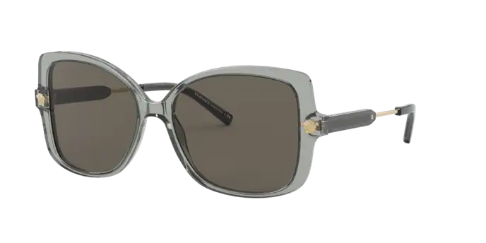 Versace Sunglasses VE4390 TRANSPARENT BLACK