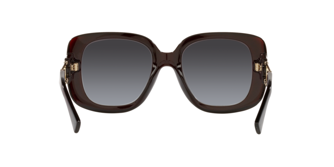 Versace Sunglasses VE4411 TRANSPARENT RED