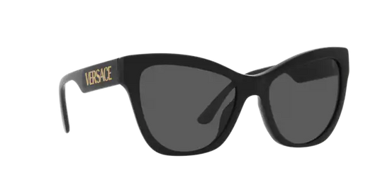 Versace Sunglasses VE4417U BLACK