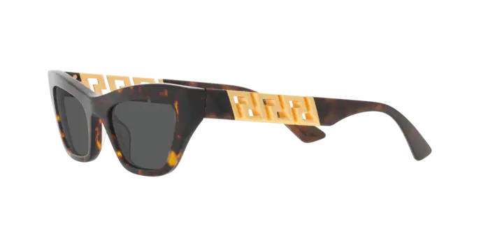 Versace Sunglasses VE4419 HAVANA