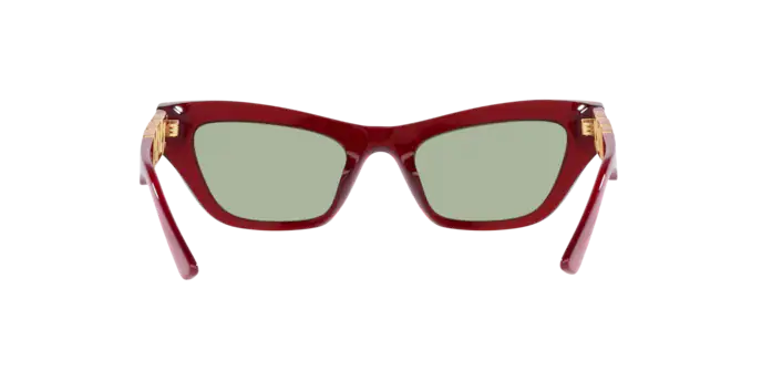 Versace Sunglasses VE4419 TRANSPARENT RED