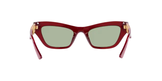 Load image into Gallery viewer, Versace Sunglasses VE4419 TRANSPARENT RED
