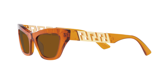 Versace Sunglasses VE4419 TRANSPARENT ORANGE