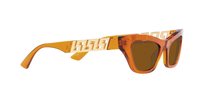 Versace Sunglasses VE4419 TRANSPARENT ORANGE