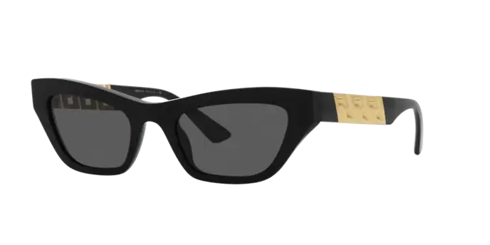 Versace Sunglasses VE4419 BLACK