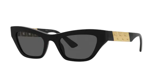 Versace Sunglasses VE4419 BLACK