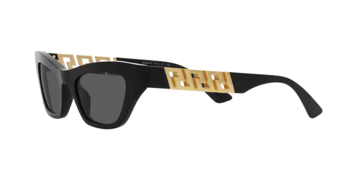 Versace Sunglasses VE4419 BLACK