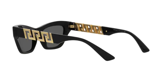 Versace Sunglasses VE4419 BLACK