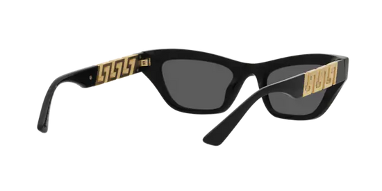 Versace Sunglasses VE4419 BLACK