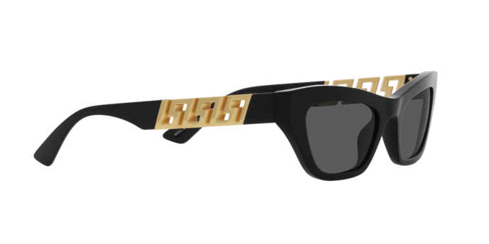 Versace Sunglasses VE4419 BLACK