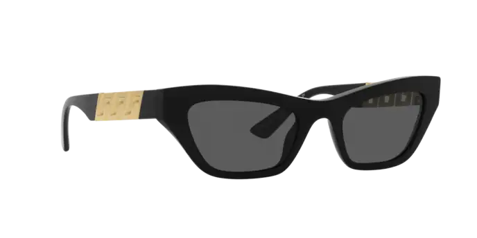 Versace Sunglasses VE4419 BLACK