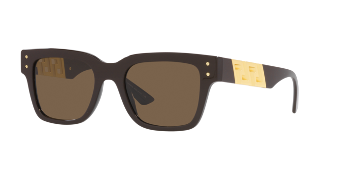 Versace Sunglasses VE4421 BROWN