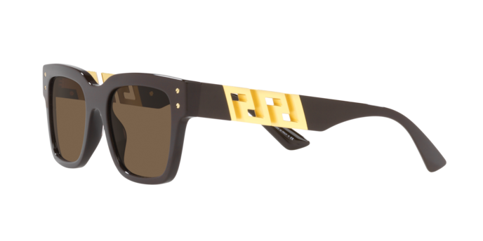 Versace Sunglasses VE4421 BROWN