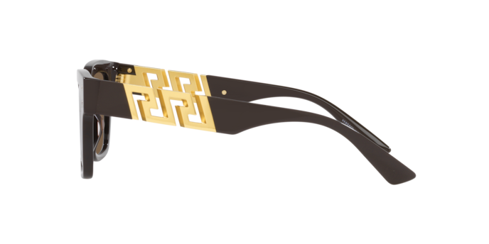 Versace Sunglasses VE4421 BROWN