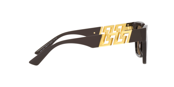 Versace Sunglasses VE4421 BROWN