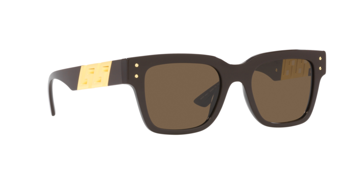 Versace Sunglasses VE4421 BROWN