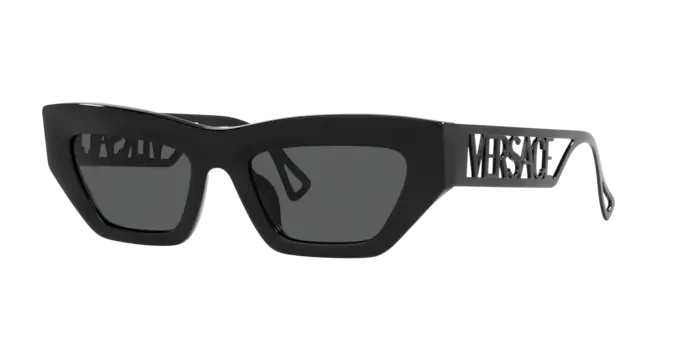 Versace Sunglasses VE4432U BLACK