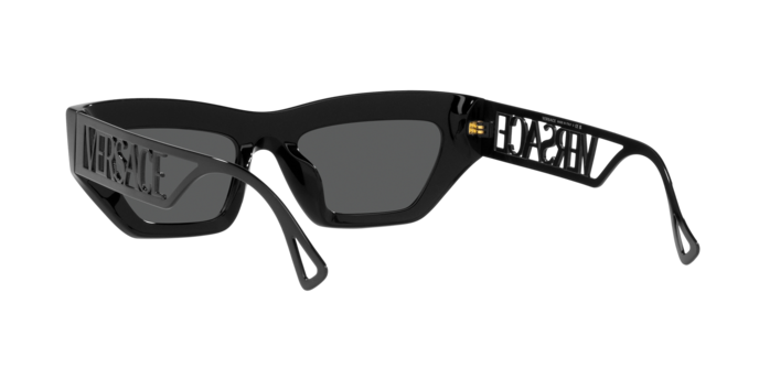 Versace Sunglasses VE4432U BLACK