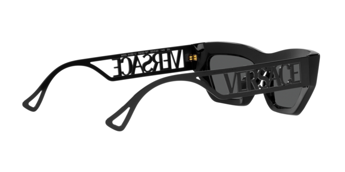 Versace Sunglasses VE4432U BLACK