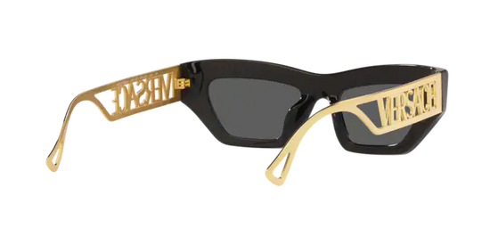 Versace Sunglasses VE4432U BLACK