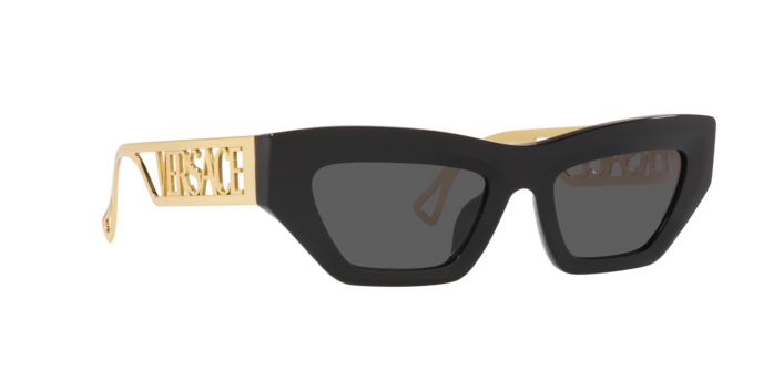 Versace Sunglasses VE4432U BLACK