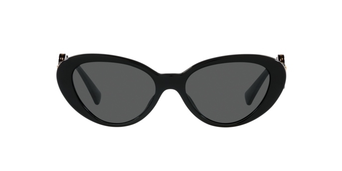 Versace Sunglasses VE4433U BLACK