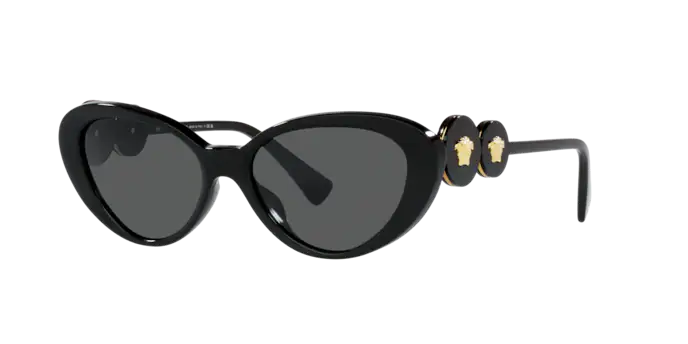 Versace Sunglasses VE4433U BLACK