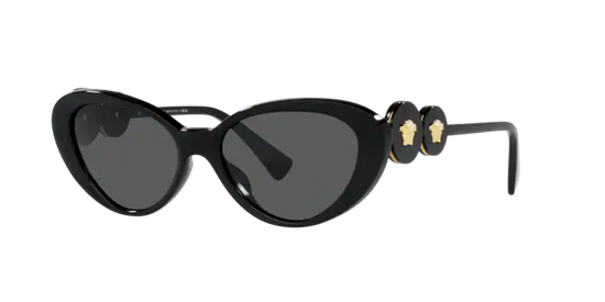 Versace Sunglasses VE4433U BLACK