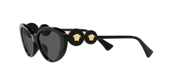 Versace Sunglasses VE4433U BLACK