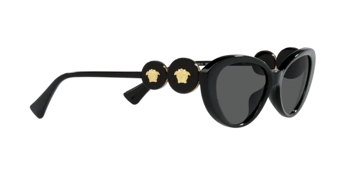 Versace Sunglasses VE4433U BLACK