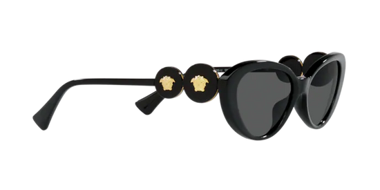 Versace Sunglasses VE4433U BLACK