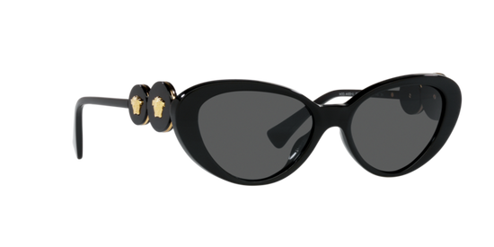 Versace Sunglasses VE4433U BLACK