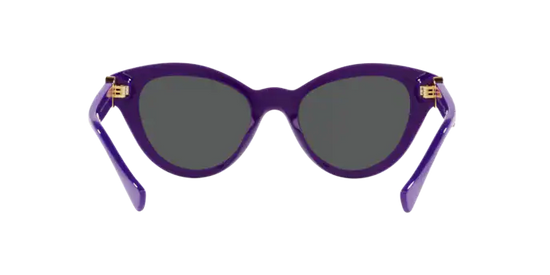 Versace Sunglasses VE4435 PURPLE