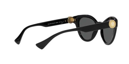 Versace Sunglasses VE4435 BLACK