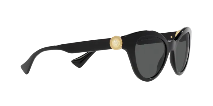 Versace Sunglasses VE4435 BLACK