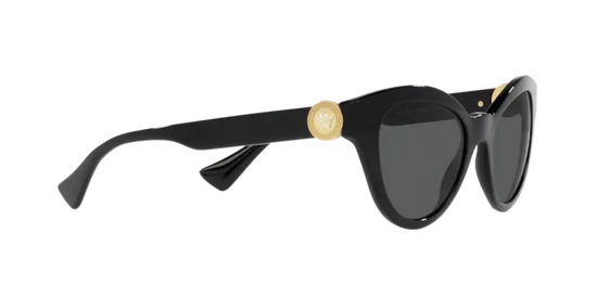 Versace Sunglasses VE4435 BLACK