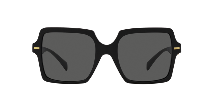 Versace Sunglasses VE4441 BLACK