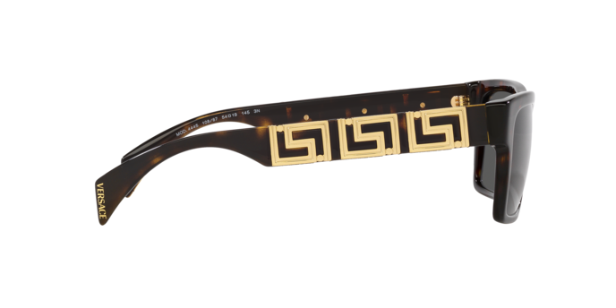 Versace Sunglasses VE4445 HAVANA