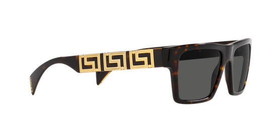 Versace Sunglasses VE4445 HAVANA