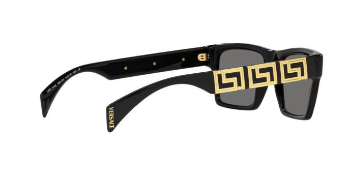 Versace Sunglasses VE4445 BLACK