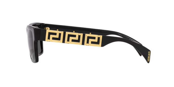 Versace Sunglasses VE4445 BLACK