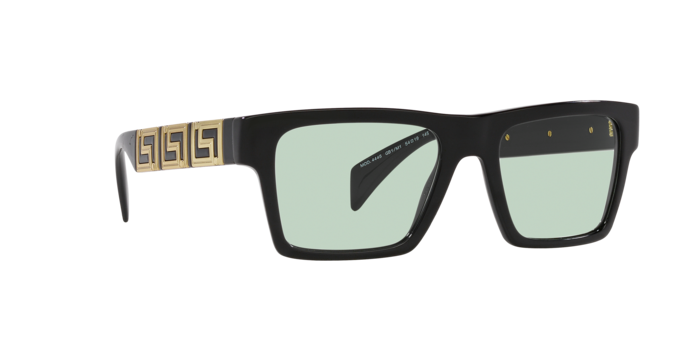 Versace Sunglasses VE4445 BLACK