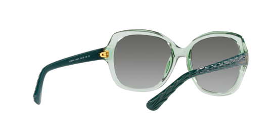 Vogue Sunglasses VO2871S 304311