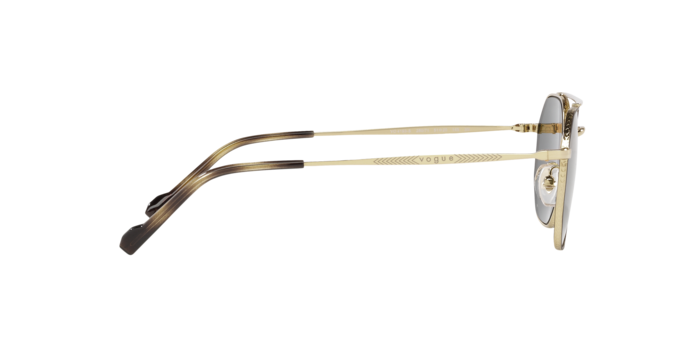 Vogue Eyewear Sunglasses VO4193S 280/71