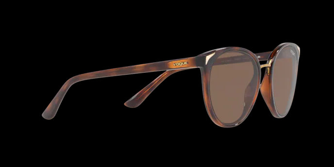 Vogue Eyewear Sunglasses VO5230S 238673