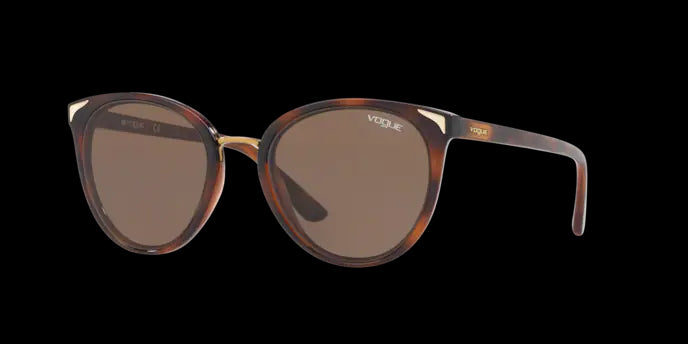 Vogue Eyewear Sunglasses VO5230S 238673