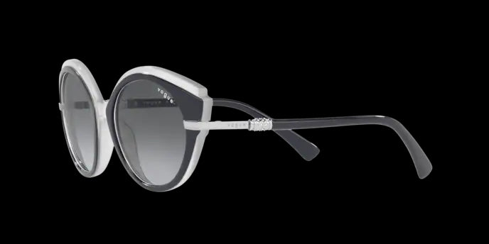 Vogue Eyewear Sunglasses VO5385SB 293811