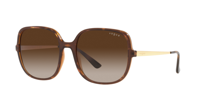 Vogue Eyewear Sunglasses VO5405S 238613